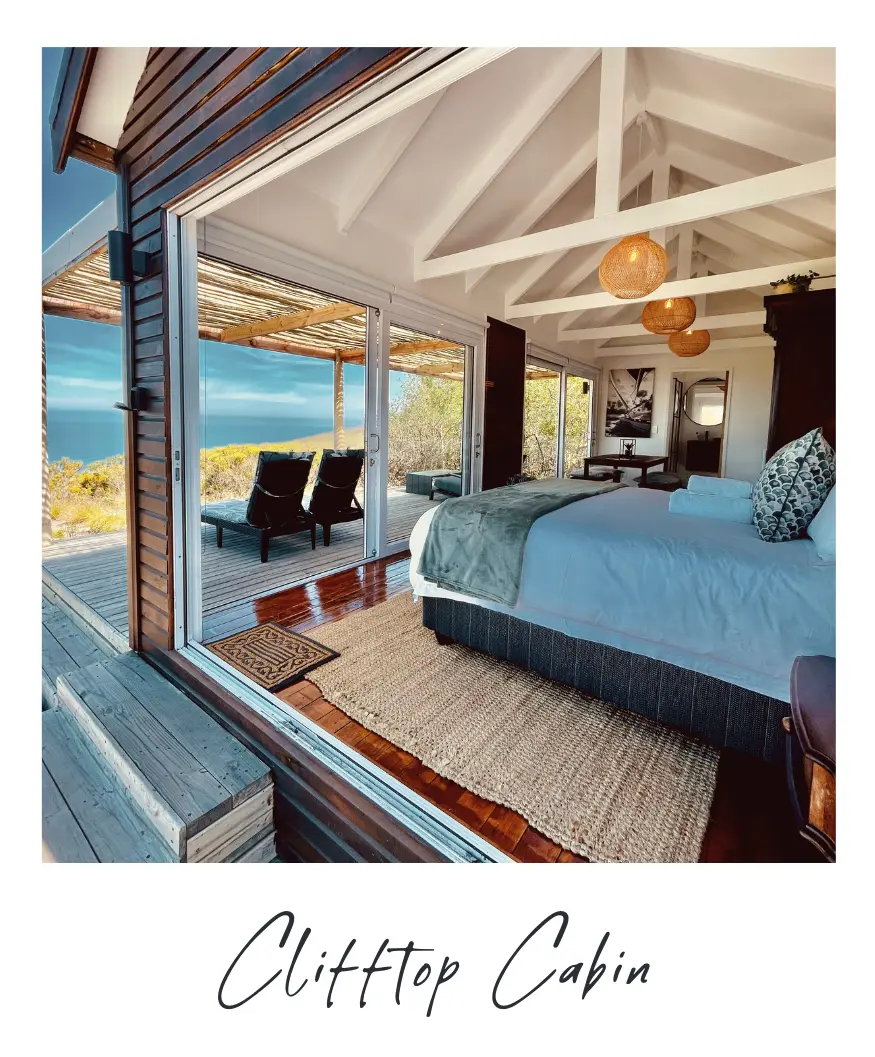 Cottage outdoor scene