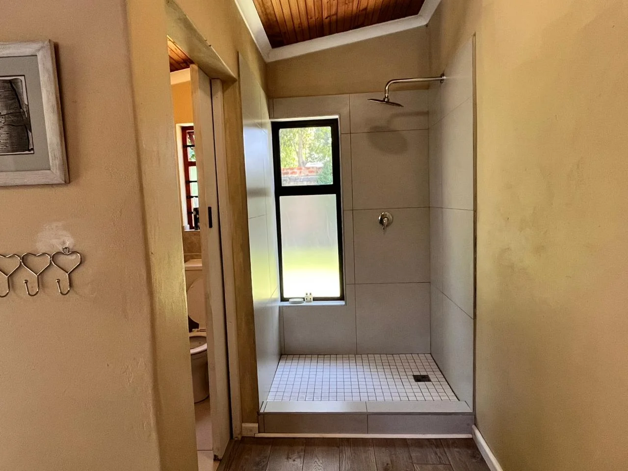 Patio and braai area